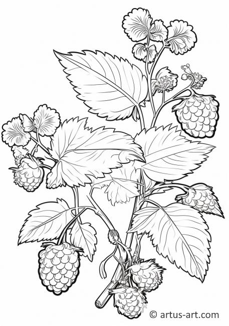 Página para colorear de Flores de Frambuesa